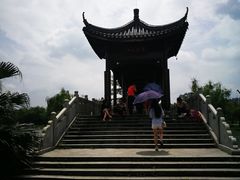 -飞来湖湿地公园