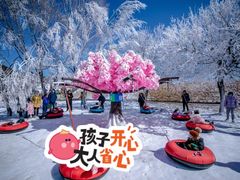 -丁香湖丁香小镇Citypark滑雪公园戏雪嘉年华