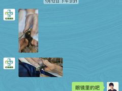 -雨林宠物医院 非犬猫异宠专科