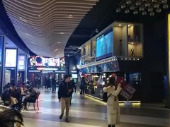-新影联·华谊兄弟影院(望京店)