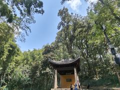 -灵岩山风景区