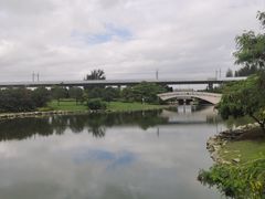 -宝安西湾红树林湿地公园