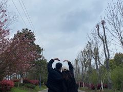 -云幽谷旅游区