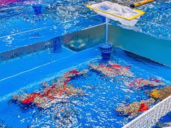 -明本湛江鸡•海鲜小厨(陈家祠店)