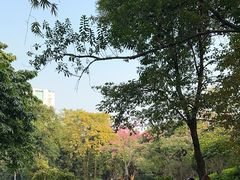 -晓港公园