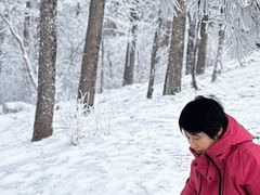-四明山国家森林公园