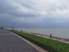 -深圳湾公园(南山区)