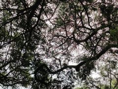 -昆明市金殿名胜区