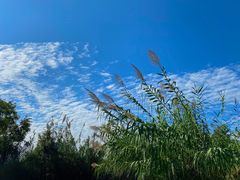 -竹上云想餐厅民宿