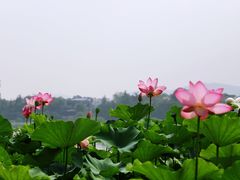 -云龙湖旅游景区