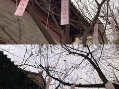 -西安大兴善寺