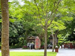 -野象谷景区
