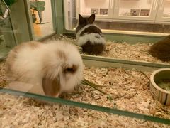 -龙猫仔乐园(惠福东路店)