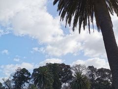 -墨尔本皇家植物园