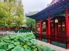 -济南大明湖景区