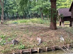 -宁波杭州湾国家湿地公园