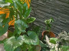 -泰古龙抓龙筋·spa按摩(静安店)