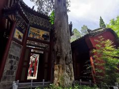 -武侯墓风景区