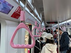 -外高桥保税区南(地铁站)