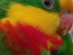 -南宫五洲植物乐园