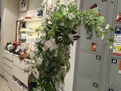 -海马体照相馆(上海月星环球港店)