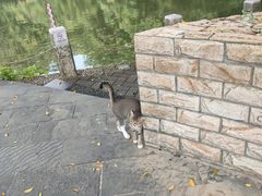 -人民公园(罗湖区)