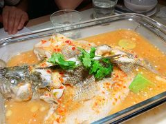 -佬肥猫(国华广场店)