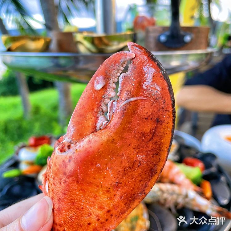 🔥太美太好吃了吧！亚龙湾美高梅霓湾海鲜餐厅探店