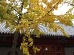 -湛山寺