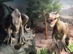 -国家自然博物馆