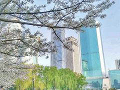 -西北湖绿化广场
