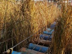 -河北村民俗体验园