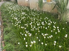 -广州市紫泥堂文化创意园景区