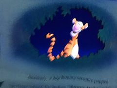 -小熊维尼历险之旅