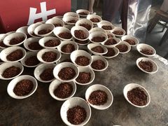 -小杨翘脚牛肉