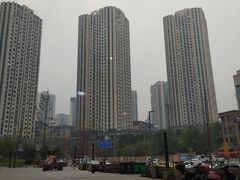 -贵州辣子鸡番茄鸡