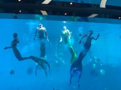 -瑞德姆美人鱼海底演艺主题餐厅(亚龙湾店)