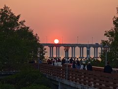 -宝安西湾红树林湿地公园