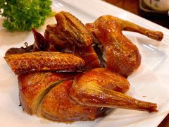 茶皇乳鸽-顺德人家食府(黄金广场店)
