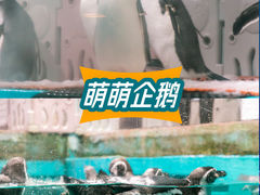 -正佳极地海洋世界