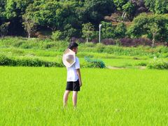 -艾米稻香小镇