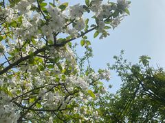 -南山风景名胜区