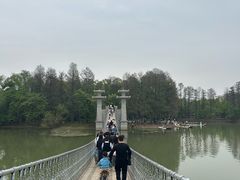 -东湖落雁景区