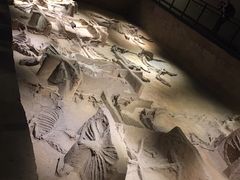 -洛阳周王城天子驾六博物馆