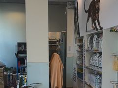 -瑞派申生动物医院·24H夜诊·国际动物医疗中心·骨外科(吴中路店)