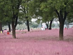 -汉长安城未央宫国家考古遗址公园