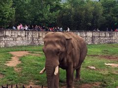 -西安秦岭野生动物园