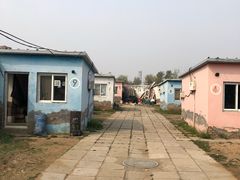 -大自然农场蔬菜草莓采摘园