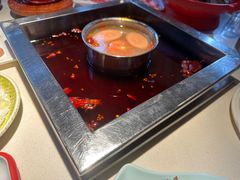 -二荆条·蜀鲜汇城市森林火锅