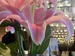 -悦百味·品质川菜(橄榄郡店)